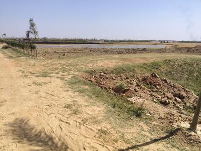Image of 1000 Sq.ft Residential Plot / Land for sale in Maniram, Gorakhpur for Rs. 599000