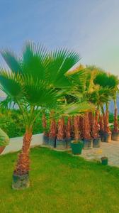 Image of 1000 Sq.ft Residential Plot / Land for sale in Amethi, Lucknow for Rs. 800000