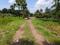 Diamond Park, Joka Plot View 2