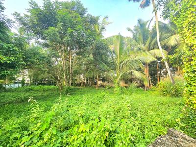 Image of 2610 Sq.ft Residential Plot / Land for sale in North Paravoor, Kochi for Rs. 4500000