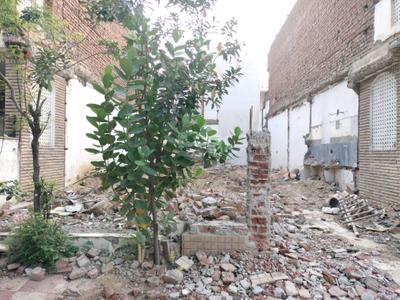 Sector 16 Plot View 1