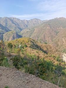 Image of 900 Sq.ft Residential Plot / Land for sale in Maldevta, Dehradun for Rs. 9000000