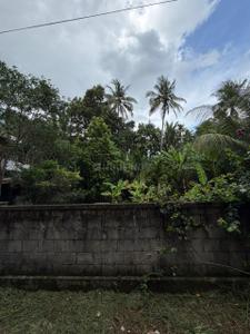 Image of 3267 Sq.ft Residential Plot / Land for sale in Kuttoor, Thrissur for Rs. 515000