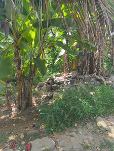 20 Cents Villa Plot in Edapazhinji Plot View 1