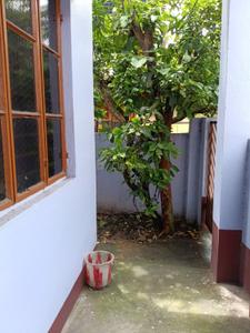 Balcony Image of 800 Sq.ft 1.5 BHK Independent House for rent in Mahaprabhu Jharna Apartment, Benachity Durgapur for Rs. 8500