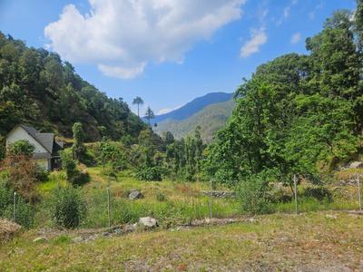 Better Homes Realty Plot View 3