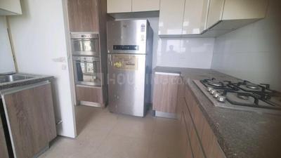 Kitchen Image of 1818 Sq.ft 3 BHK Apartment / Flat for rent in DLF The Primus, Sector 82A Gurgaon for Rs. 60000