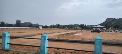 VNG Projects Plot View 3