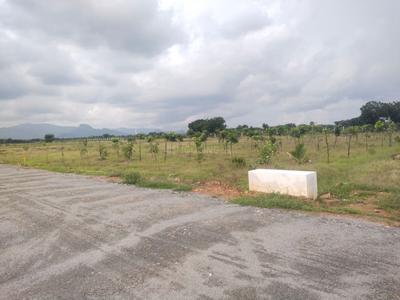 Image of 4384 Sq.ft 3 BHK Farm House for sale in Tata Nagar, Tirupathi for Rs. 1093500