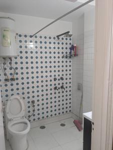 Bathroom Image of 1250 Sq.ft 2.5 BHK Apartment / Flat for rent in Mavilla Apartment, Mayur Vihar Phase 1 New Delhi for Rs. 50000