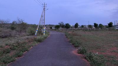 Udbur Plot View 3