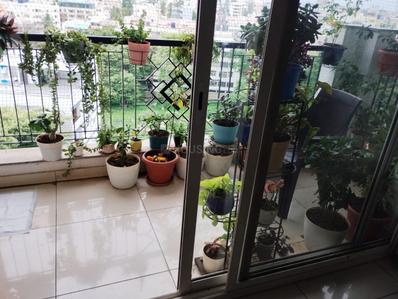 Balcony Image of 2400 Sq.ft 3 BHK Builder Floor for sale in HSR Layout Bengaluru for Rs. 44000000