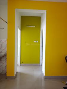 Hall Image of 800 Sq.ft 2 BHK Apartment / Flat for rent in Nungambakkam Chennai for Rs. 35000