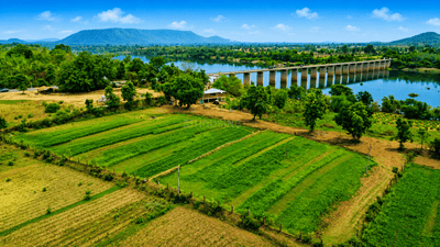 Image of 10800 Sq.ft Residential Plot / Land for sale in Toria Mohalla, Chhatarpur for Rs. 7500000