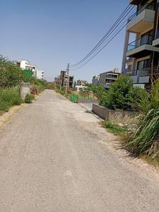 Sector 28 Plot View 2