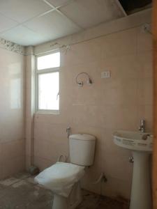 Common Bathroom Image of 1000 Sq.ft 2 BHK Apartment / Flat for sale in Amrapali Verona Heights, Noida Extension Greater Noida for Rs. 7700000