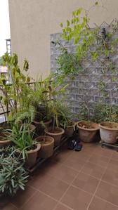 Balcony Image of 1350 Sq.ft 3 BHK Apartment / Flat for rent in Teerth Aarohi, Sus Pune for Rs. 35000