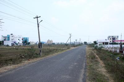 Plot View