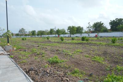 Image of 2790 Sq.ft Residential Plot / Land for sale in Vadner Dumala, Devlali for Rs. 8000000