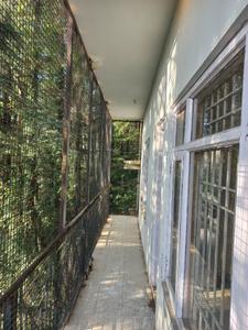Balcony Image of 1200 Sq.ft 3 BHK Builder Floor for sale in Kasumpti Shimla for Rs. 6500000