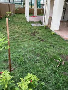 Image of 2000 Sq.ft 3 BHK Villa for sale in Shantee Orchid Villas, Naigaon East, Naigaon for Rs. 11200000