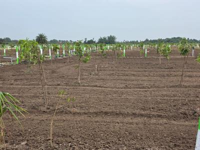 Image of 9600 Sq.ft Residential Plot / Land for sale in Chengalpattu, Chennai for Rs. 2400000