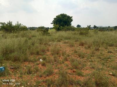 Image of 13068 Sq.ft 12 BHK Farm House for sale in Avinashi Taluk, Tiruppur for Rs. 210000