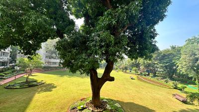 Image of 2200 Sq.ft 3 BHK Apartment / Flat for rent in Malabar Hill, Mumbai for Rs. 775000