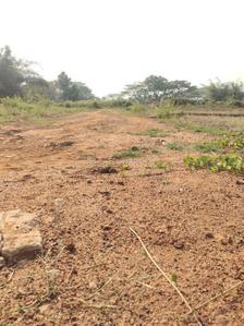 Image of 1500 Sq.ft Residential Plot / Land for sale in Tankapani Road, Bhubaneswar for Rs. 2700000