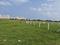 Oragadam Industrial Corridor Main Image 1