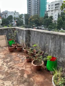 Balcony Image of 1300 Sq.ft 1 BHK Apartment / Flat for sale in Kothrud Pune for Rs. 17500000