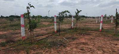 Image of 1200 Sq.ft Residential Plot / Land for sale in Thamaaraipakkam, Chennai for Rs. 960000