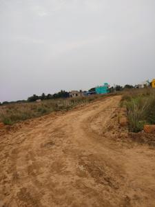 Image of 1000 Sq.ft Residential Plot / Land for sale in Balianta, Bhubaneswar for Rs. 1600000