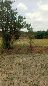 Image of 4840 Sq.ft Residential Plot / Land for sale in Ghatkesar, Secunderabad for Rs. 30000000