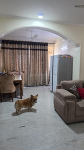 Hall Image of 1689 Sq.ft 3.5 BHK Apartment / Flat for sale in Ashiana Orchid, Surajpur Greater Noida for Rs. 19000000