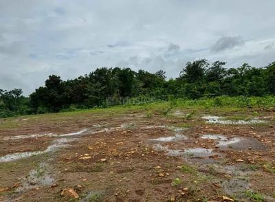 Image of 1089 Sq.ft Residential Plot / Land for sale in Pen, Raigad for Rs. 210000