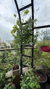 Balcony Image of 4250 Sq.ft 5 BHK Apartment / Flat for sale in Bavdhan Pune for Rs. 70000000