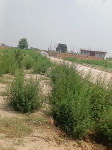 Image of 1800 Sq.ft Residential Plot / Land for sale in Rabupura, Greater Noida for Rs. 8000000