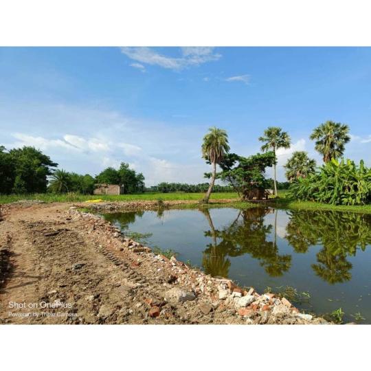 Bagi Main Image 1
