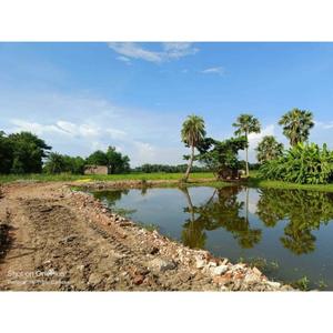 Image of 1440 Sq.ft Residential Plot / Land for sale in Bagi, Kolkata for Rs. 320000