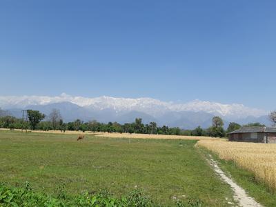 Image of 3011 Sq.ft 4 BHK Builder Floor for sale in Sidhpur, Kangra for Rs. 9900005