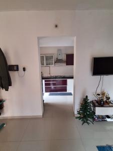 Hall Image of 750 Sq.ft 1 BHK Apartment / Flat for rent in Long Island, Charholi Budruk Pune for Rs. 23000