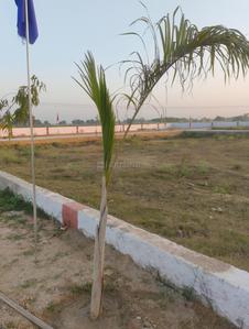 Saimari Plot View 2