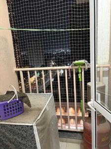 Balcony Image of 1200 Sq.ft 3 BHK Apartment / Flat for rent in Godrej Green Cove, Mahalunge Pune for Rs. 31000