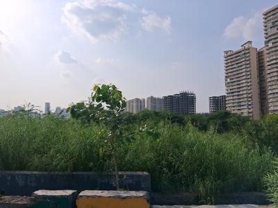 Image of 1800 Sq.ft Residential Plot / Land for sale in Sector 79, Noida for Rs. 30210000