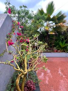 Image of 1820 Sq.ft 3 BHK Penthouse for sale in Satellite, Ahmedabad for Rs. 12500000