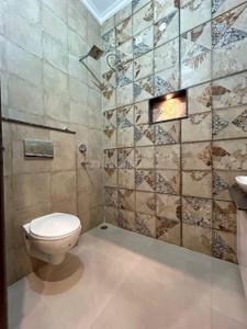 Bathroom Image of 1150 Sq.ft 2 BHK Apartment / Flat for rent in SBP City Of Dreams 2, Sector 116 Mohali for Rs. 18000