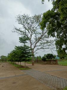 Image of 1250 Sq.ft 2 BHK Independent House for sale in Torwa, Bilaspur for Rs. 1718750
