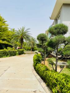 Image of 43560 Sq.ft Residential Plot / Land for sale in Vatika Westin Sohna Resort, Karnki, Gurgaon for Rs. 40000000