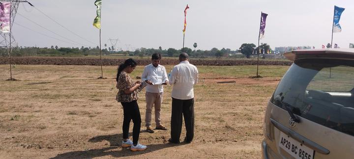 Divi Meadows Main Image 1